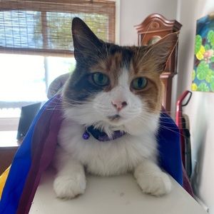 Meet your Posher, Emma isabella